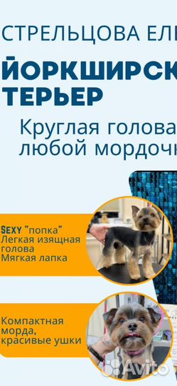 Груминг собак