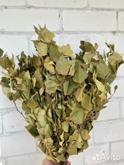 Березовый веник для бани