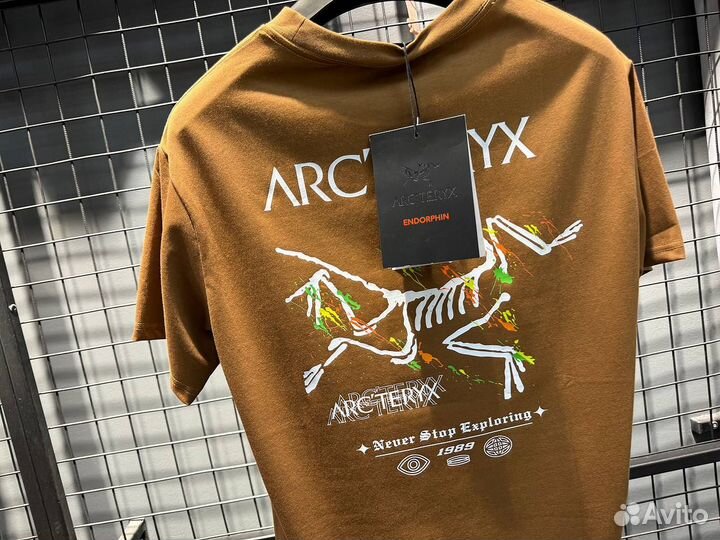 Футболка мужская arcteryx (Арт.67755)