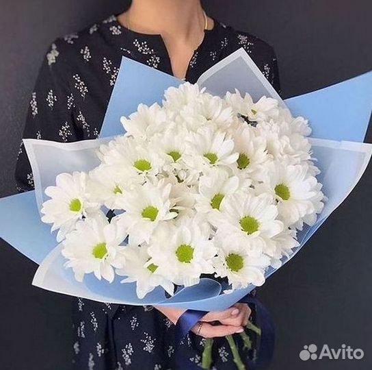 Хризантема Букет хризантем Доставка