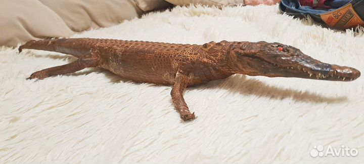 Кожа крокодила