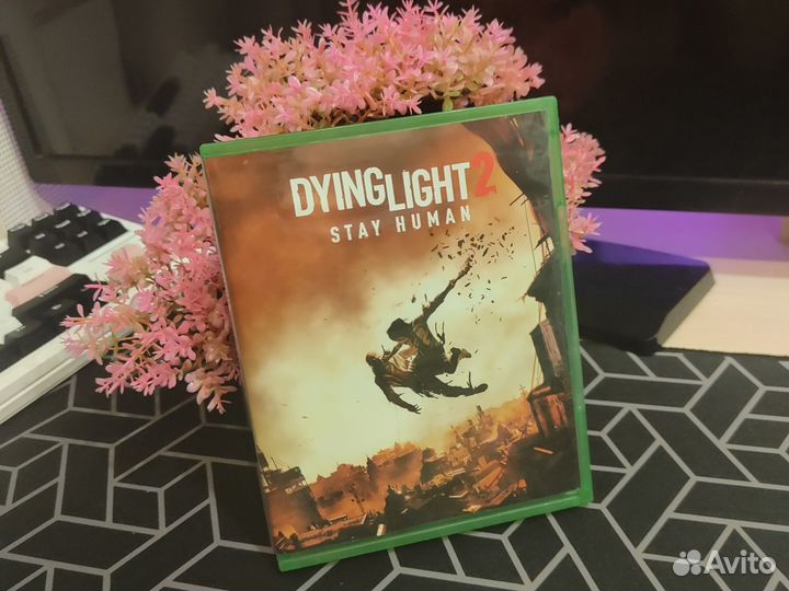 Dying light 2 Xbox