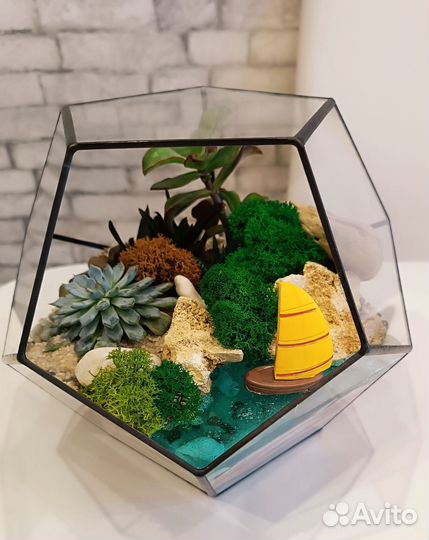 Флорариум. Подарок. Цветы