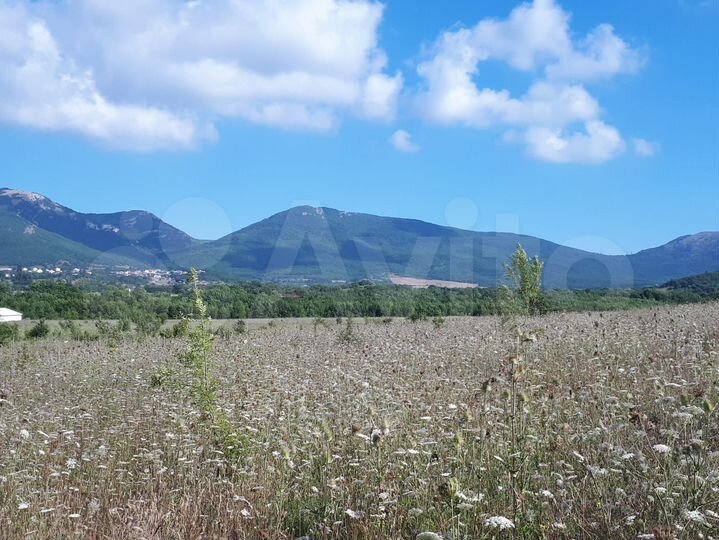 Участок 9 сот. (СНТ, ДНП)