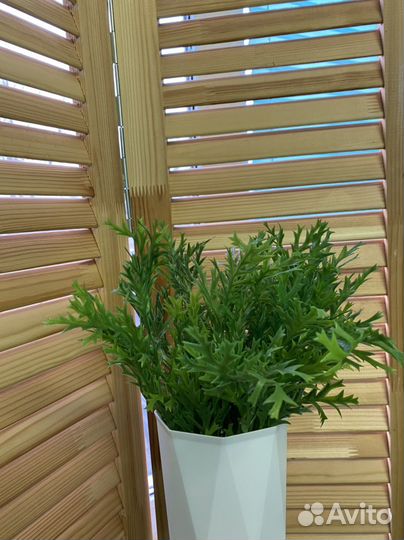 Цветы в горшочках для декора папоротник осока лава