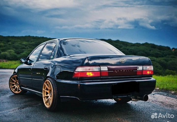 Бизнес план для Соц контракта