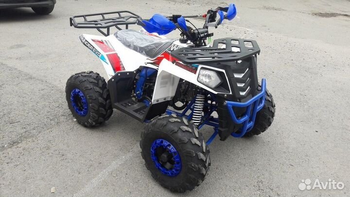 Квадроцикл Wels Thunder EVO ST