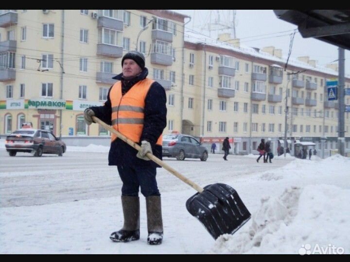 Услуги дворника