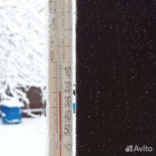 Пчелы и улья