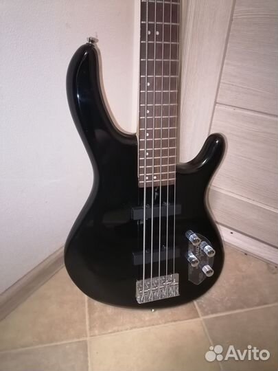 Басс гитара 5 струн