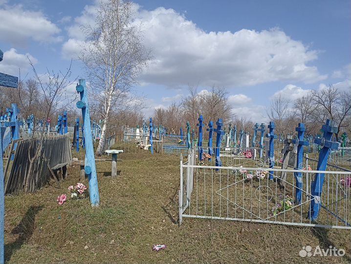 История семьи, генеалогия