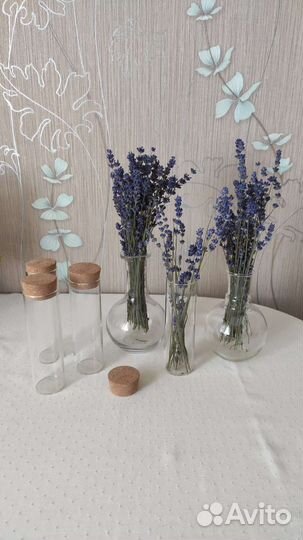 Стеклянная колба