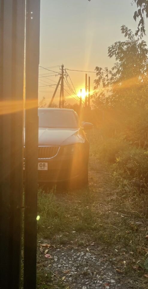 Skoda Octavia: фото владельца