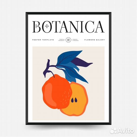 Плакаты постеры