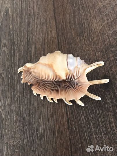 Разное для аквариума