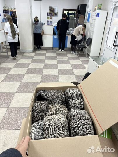 Каракуль ушанки