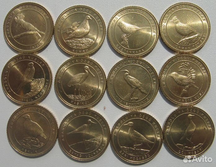 Турция наборы Птицы Анатолии 1 куруш 2020 и 2021