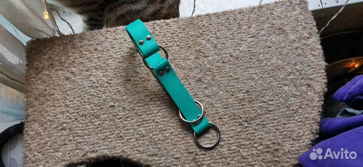 Ошейник и поводок для собак
