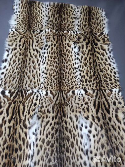 Пластина оцелота