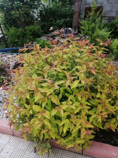 Дом 79 м² на участке 5,8 сот.