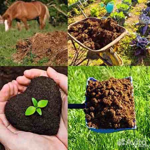 Коровий, Конский-навоз -перегной земля торф грунт