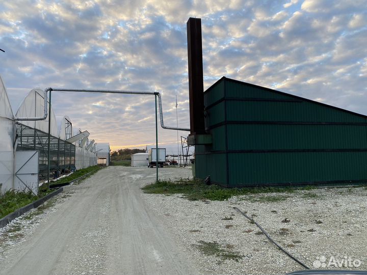 Производственно-тепличный комплекс