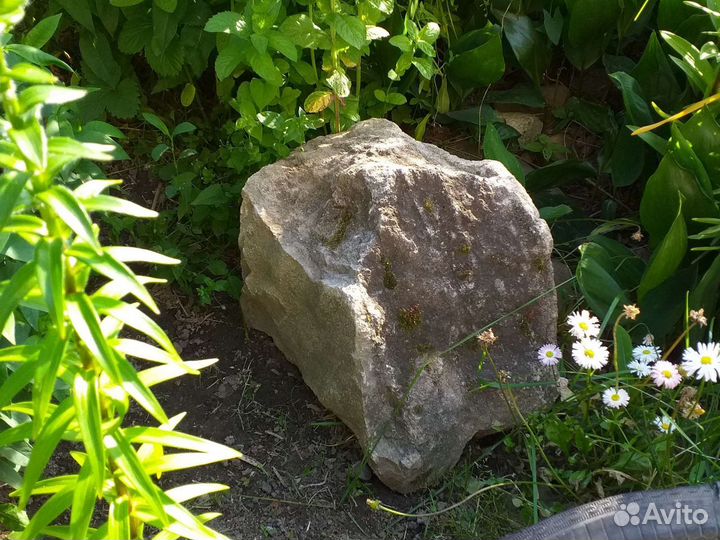 Камни для альпийской горки ландшафта