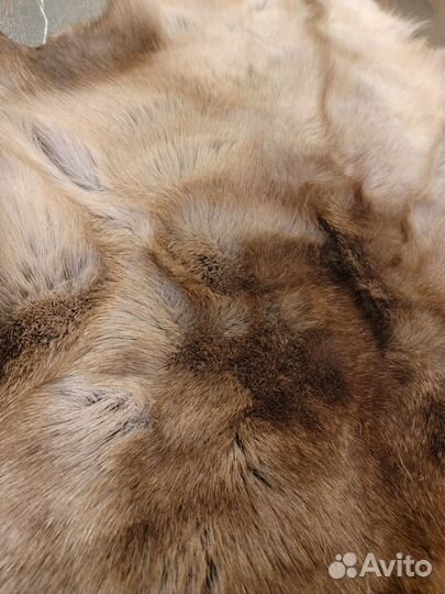 Шкура оленя