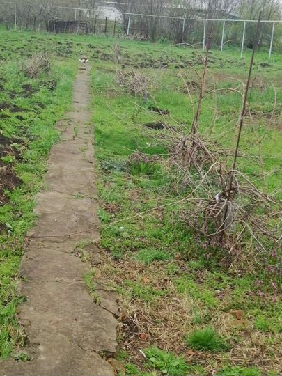 Участок 16,5 сот. (ИЖС)