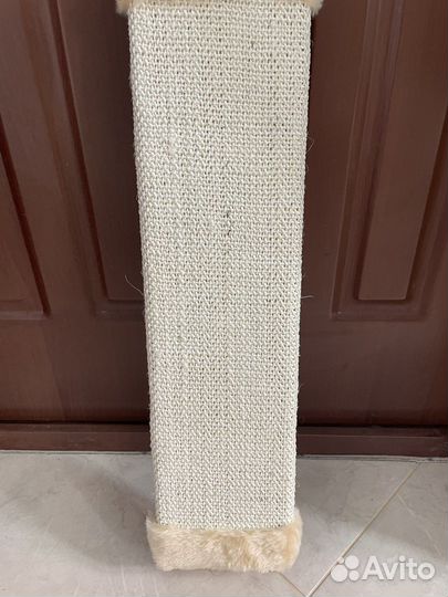 Когтеточка