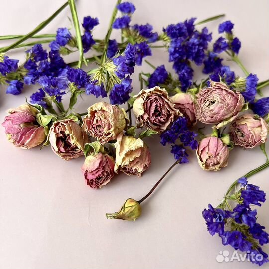 Сухоцветы для творчества, Статица, Кустовая роза