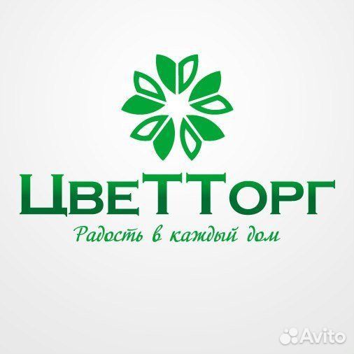 Управляющий розничной сети 