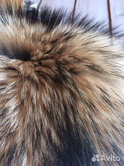 Шкуры енота