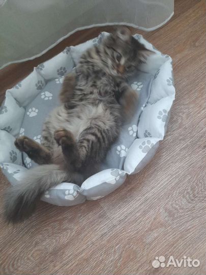 Лежанка для собак и кошек