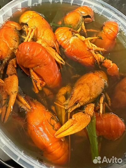 Раки доставка