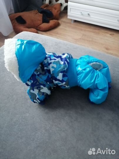 Комбинезон для маленькой собаки