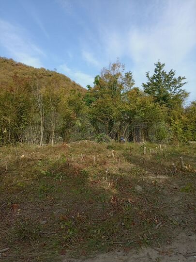 Участок 4 сот. (СНТ, ДНП)