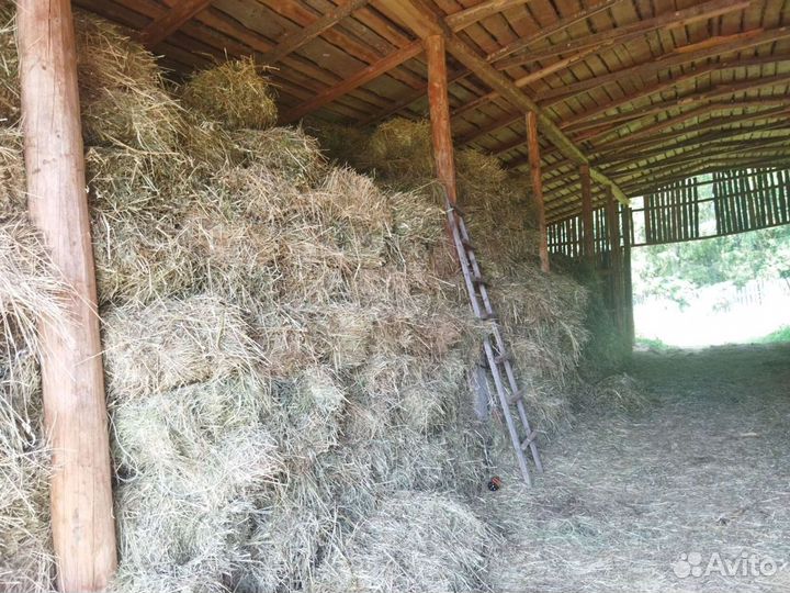 Продам сено в тюках