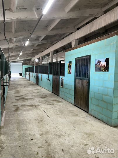 Постой для лошадей