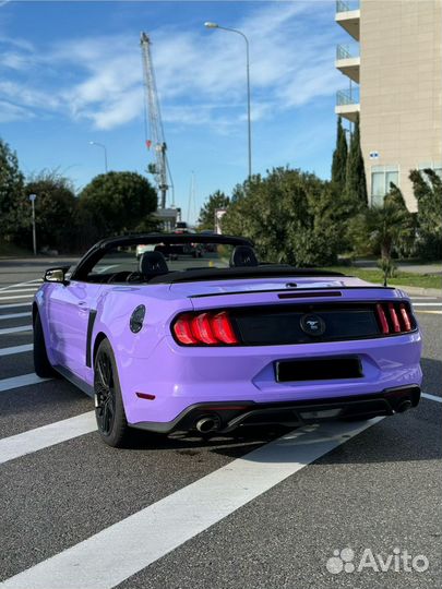 Тур в абхазию