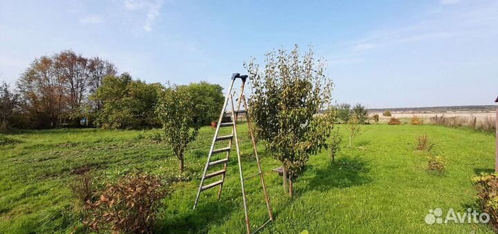 Покос травы/Работы на садовом участке/Удаление