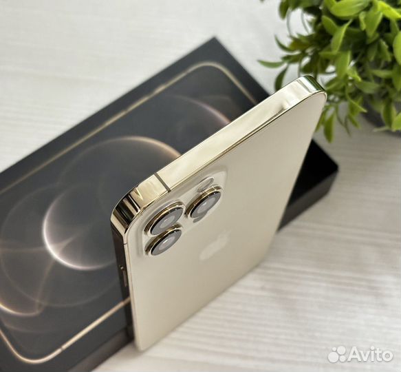 iPhone 12 Pro Max, 256 ГБ