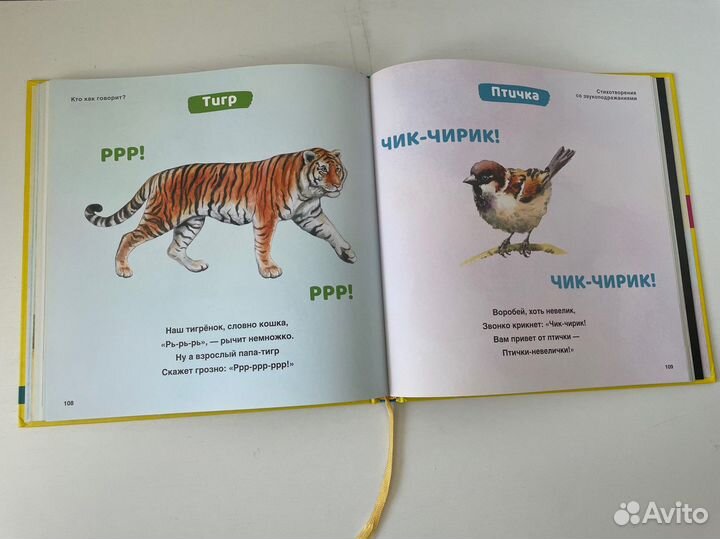 Шамиль Ахмадулин 0+, бэби тренажер