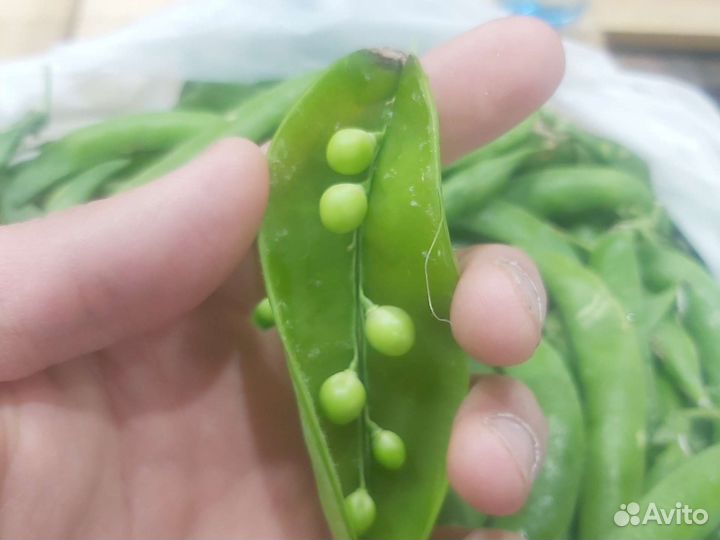 Свежий Горох сладкий с доставкой