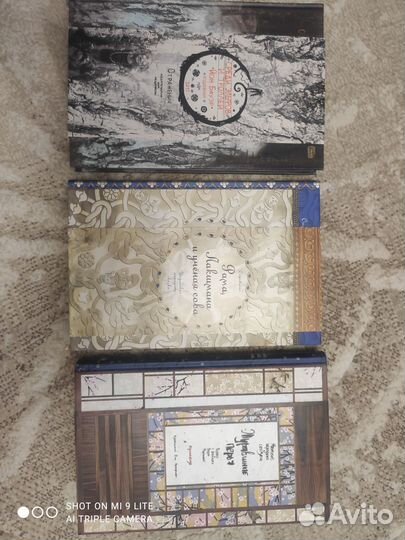 Среди эльфов и троллей, Журавлиные перья, Рама