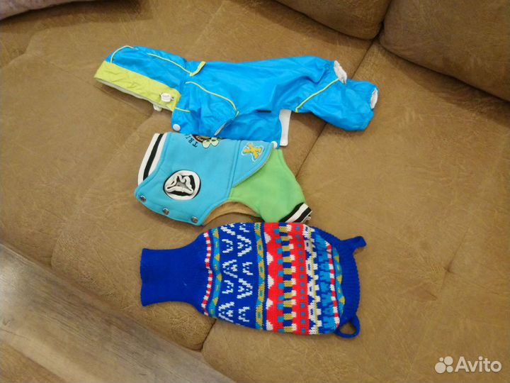 Одежда на маленькую собаку
