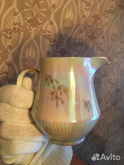 Молочник Прокопьевский фз, Мадонна гдр