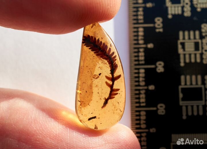 Натуральный янтарь с включением на заказ