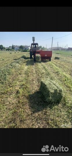 Сено в тюках