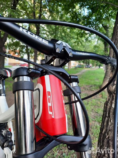 DH Bike/GT fury elite